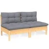 Dvivietė sodo sofa su pilkomis pagalvėlėmis, pušies masyvas