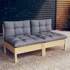 Dvivietė sodo sofa su pilkomis pagalvėlėmis, pušies masyvas