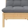 Dvivietė sodo sofa su pilkomis pagalvėlėmis, pušies masyvas