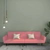 Dvivietė sofa-lova, rožinės spalvos, aksomas