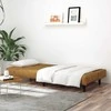 Dvivietė sofa-lova, rudos spalvos, aksomas