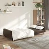 Dvivietė sofa-lova, rudos spalvos, dirbtinė oda