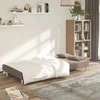 Dvivietė sofa-lova su dvejomis pagalvėmis, taupe, audinys