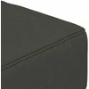 Dvivietė sofa-lova su dvejomis pagalvėmis, pilka, aksomas