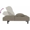 Dvivietė sofa-lova su dvejomis pagalvėmis, pilka, aksomas
