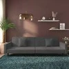 Dvivietė sofa-lova su dvejomis pagalvėmis, pilka, aksomas
