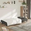 Dvivietė sofa-lova su dvejomis pagalvėmis, pilka, aksomas