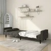 Dvivietė sofa-lova su dvejomis pagalvėmis, pilka, aksomas