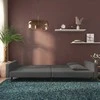 Dvivietė sofa-lova su dvejomis pagalvėmis, pilka, aksomas