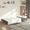 Dvivietė sofa-lova, šviesiai pilkos spalvos, audinys