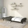 Dvivietė sofa-lova, tamsiai pilkos spalvos, aksomas