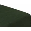 Dvivietė sofa-lova, tamsiai žalios spalvos, aksomas