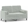 Dvivietė sofa su pagalvėlėmis, šviesiai pilka, 120cm, aksomas