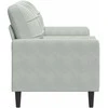 Dvivietė sofa su pagalvėlėmis, šviesiai pilka, 140cm, aksomas