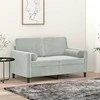Dvivietė sofa su pagalvėlėmis, šviesiai pilka, 120cm, aksomas