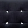 Dvivietė sofa su porankiais, juodos sp., chromas ir aksomas