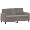 Dvivietė sofa, šviesiai pilkos spalvos, 140cm, aksomas