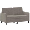 Dvivietė sofa, šviesiai pilkos spalvos, 120cm, aksomas