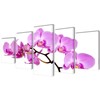 Nuotraukų rėmelis Fotopaveikslas "Orchidėjos" ant Drobės 100 x 50 cm