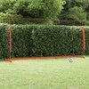 Futbolo vartai, 366,5x91x183cm, plienas