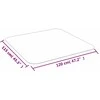 Grindų kilimėlis laminatui ar kilimui, 120x115 cm, PVC