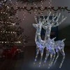 Kalėdinės dekoracijos elniai, 2vnt., 180cm, akrilas, 250 LED