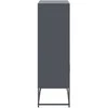 Komoda, antracito spalvos, 68,5x38,5x123,5cm, plienas