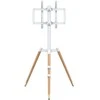 Laikiklis TV trikojis stovas 37-65 colių ekranui, 400x400mm, 40 kg