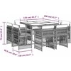 Sofa Sodo komplektas su pagalvėlėmis, 9 dalių, smėlio, poliratanas
