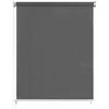 Lauko roletas, antracito spalvos, 60x230cm