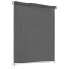 Lauko roletas, antracito spalvos, 60x230cm