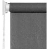 Lauko roletas, antracito spalvos, 80x230cm