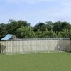 Lauko voljeras šunims su stogu, sidabrinis, 10x2x2,5m, plienas