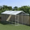 Lauko voljeras šunims su stogu, sidabrinis, 3x9x2,5m, plienas