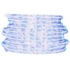 LED juosta su 240 šaltos baltos spalvos LED, 10m, PVC