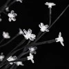 LED medis su vyšnių žiedais, 400cm, 672 šiltos baltos LED