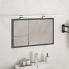 Pakabinamas šviestuvas LED veidrodžio šviestuvas, šiltos baltos spalvos, 13W, 80cm