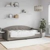 Lova Sofa, taupe spalvos, 100x200cm, audinys
