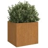 Loveliai, 2vnt., 49x47x46cm, Corten plienas
