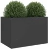 Lovelis, juodos spalvos, 62x47x46cm, šaltai valcuotas plienas
