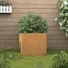 Lovelis, 32x30x29cm, Corten plienas