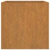 Lovelis, 62x47x46cm, Corten plienas