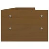 Laikiklis Monitoriaus stovas, medaus rudas, 100x24x16cm, pušies masyvas