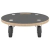 Transportavimo vežimėliai, 2vnt., 38x11,5cm, apskriti, 250kg