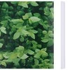Privatumo suteikianti sodo pertvara, žalia, 35x0,19m, PVC