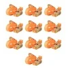 Reketo tvirtinamieji dirželiai, 10vnt., oranžiniai, 6mx25mm