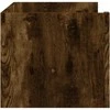 Sieninė lentyna, dūminio ąžuolo, 100x35x30,5cm, mediena