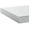 Sieninės lentynos, 2vnt., sidabrinės, 50x23,5cm, plienas