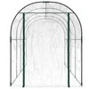 Šiltnamis, skaidrus, 160x400x190 cm, PVC ir plienas