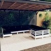 Lauko baldų komplektas Sodo komplektas su pagalvėmis, 10 dalių, baltas, pušies mediena